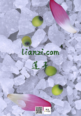 lianzi.com